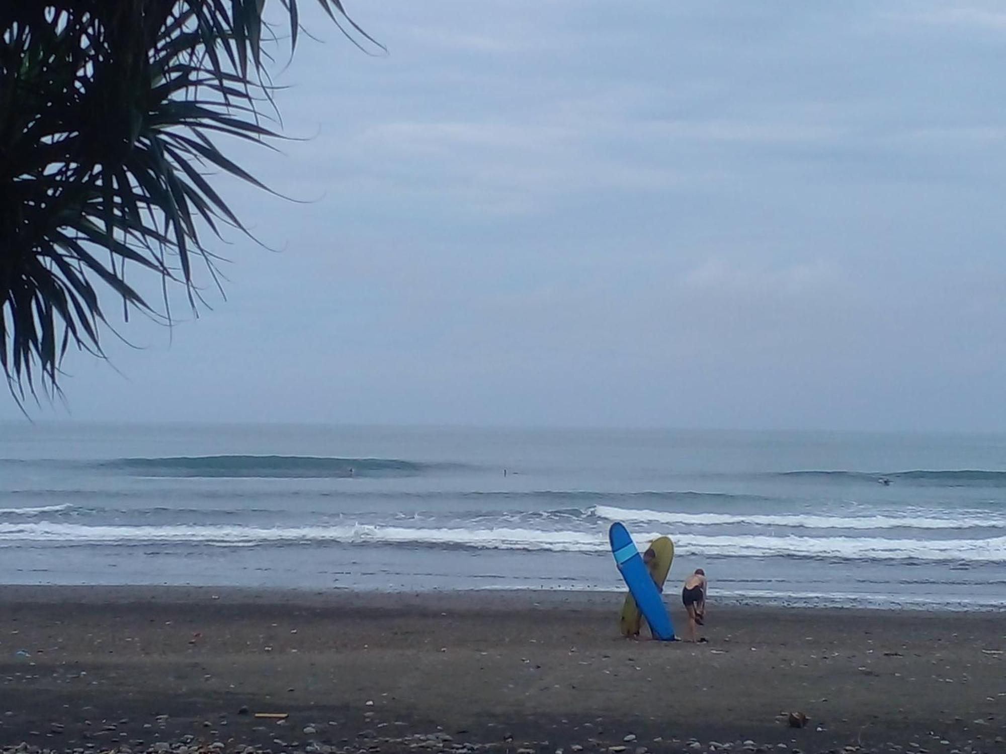 Medewi Good Vibes Stay&Surf Jembrana Esterno foto