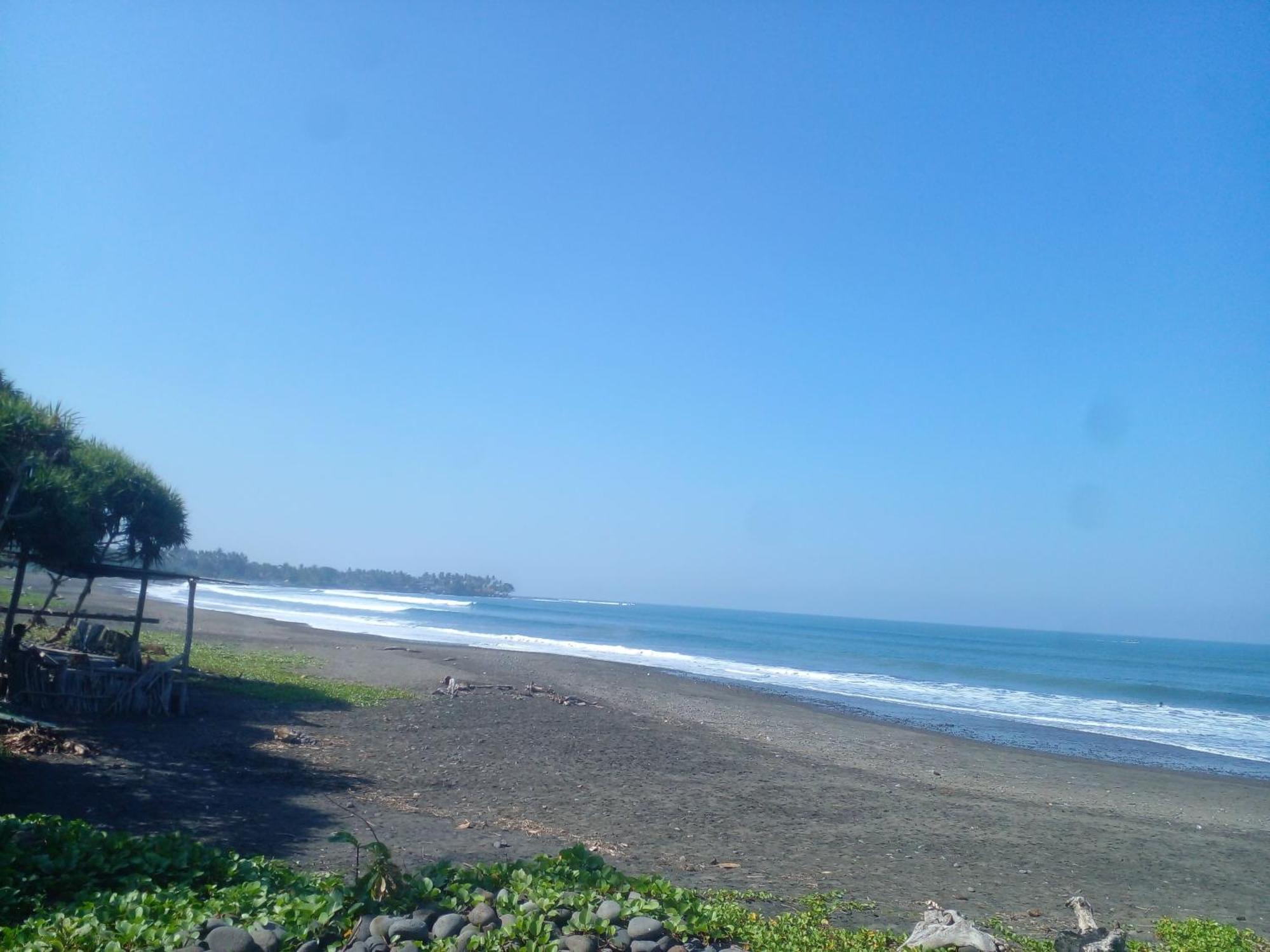 Medewi Good Vibes Stay&Surf Jembrana Esterno foto